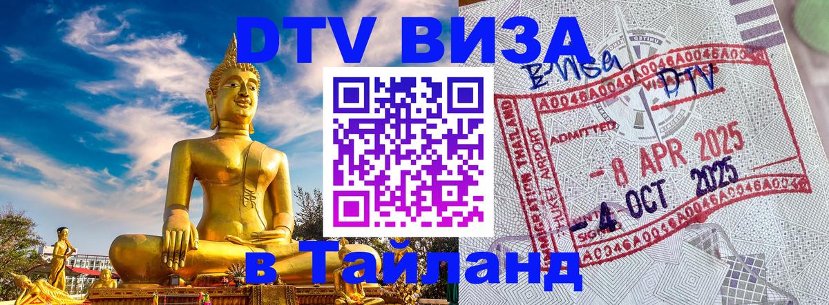 Оформление DTV визы под ключ: стоимость и тарифы, только загранпаспорт - 19.11.2025 